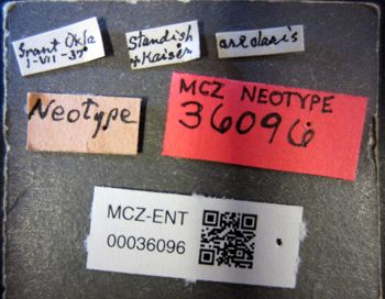 Media type: image;   Entomology 36096 Aspect: labels